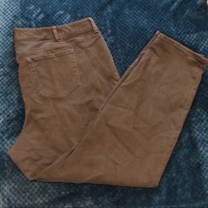 NWT Torrid Boyfriend Jeans - Size 24